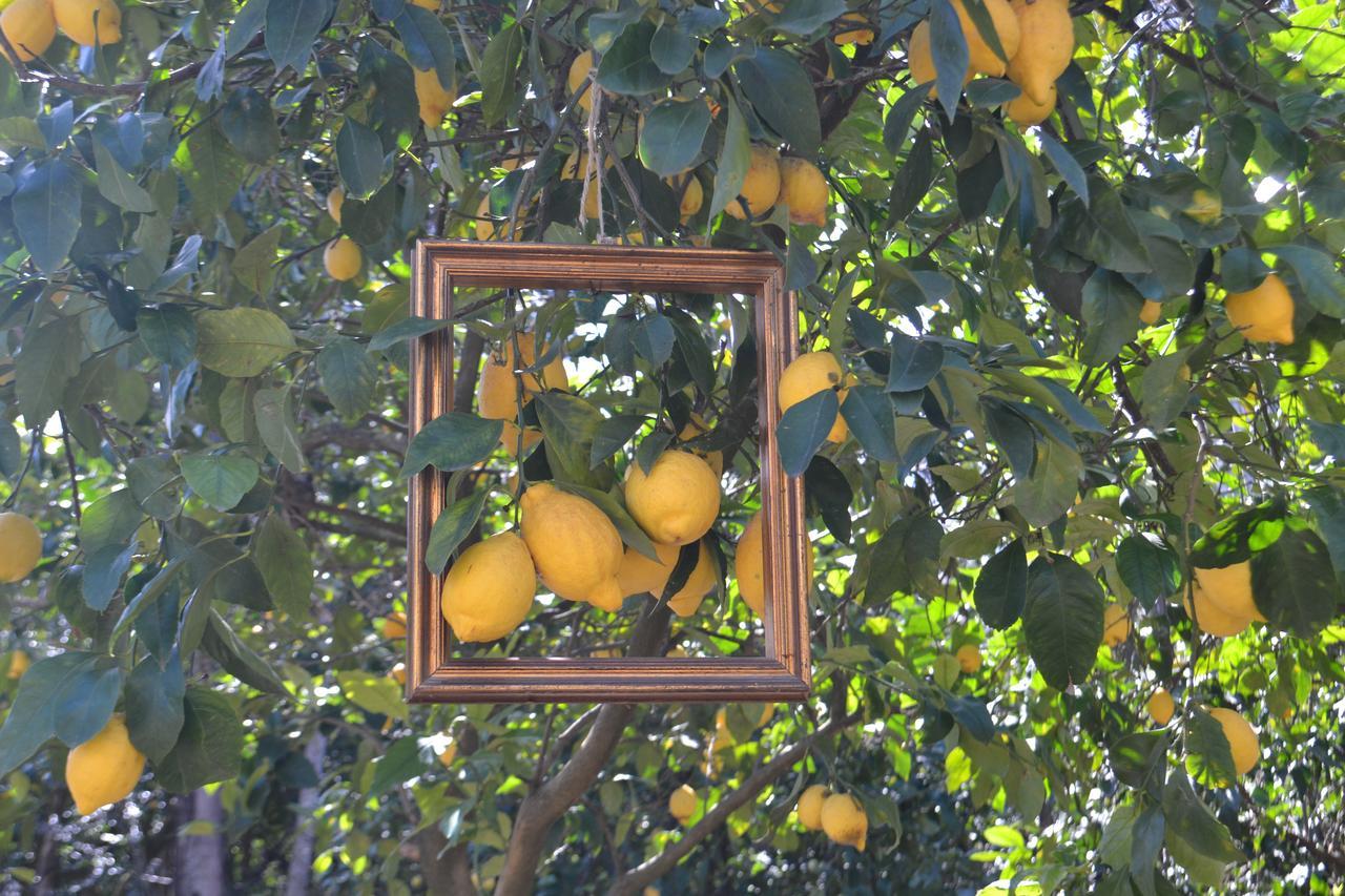 Bed and Breakfast Sorrento Experience Exterior foto