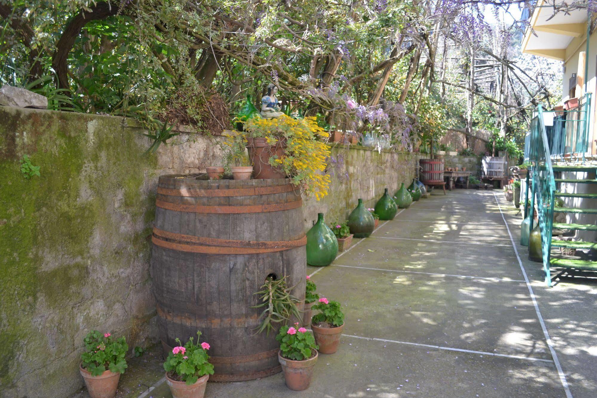 Bed and Breakfast Sorrento Experience Exterior foto