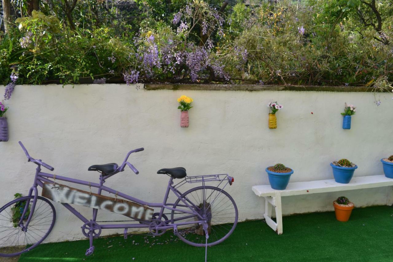 Bed and Breakfast Sorrento Experience Exterior foto